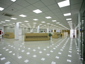 BLUECOM VIETNAM FACTORY (KOREA)